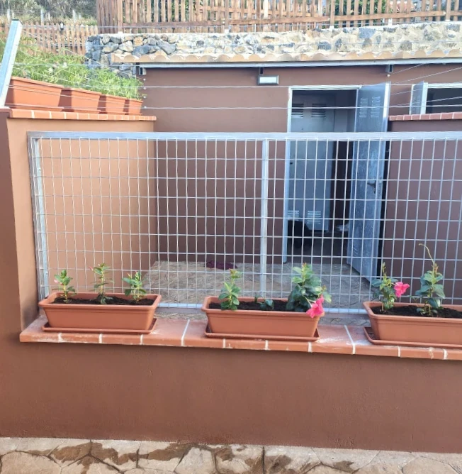 Hotel canino en tenerife