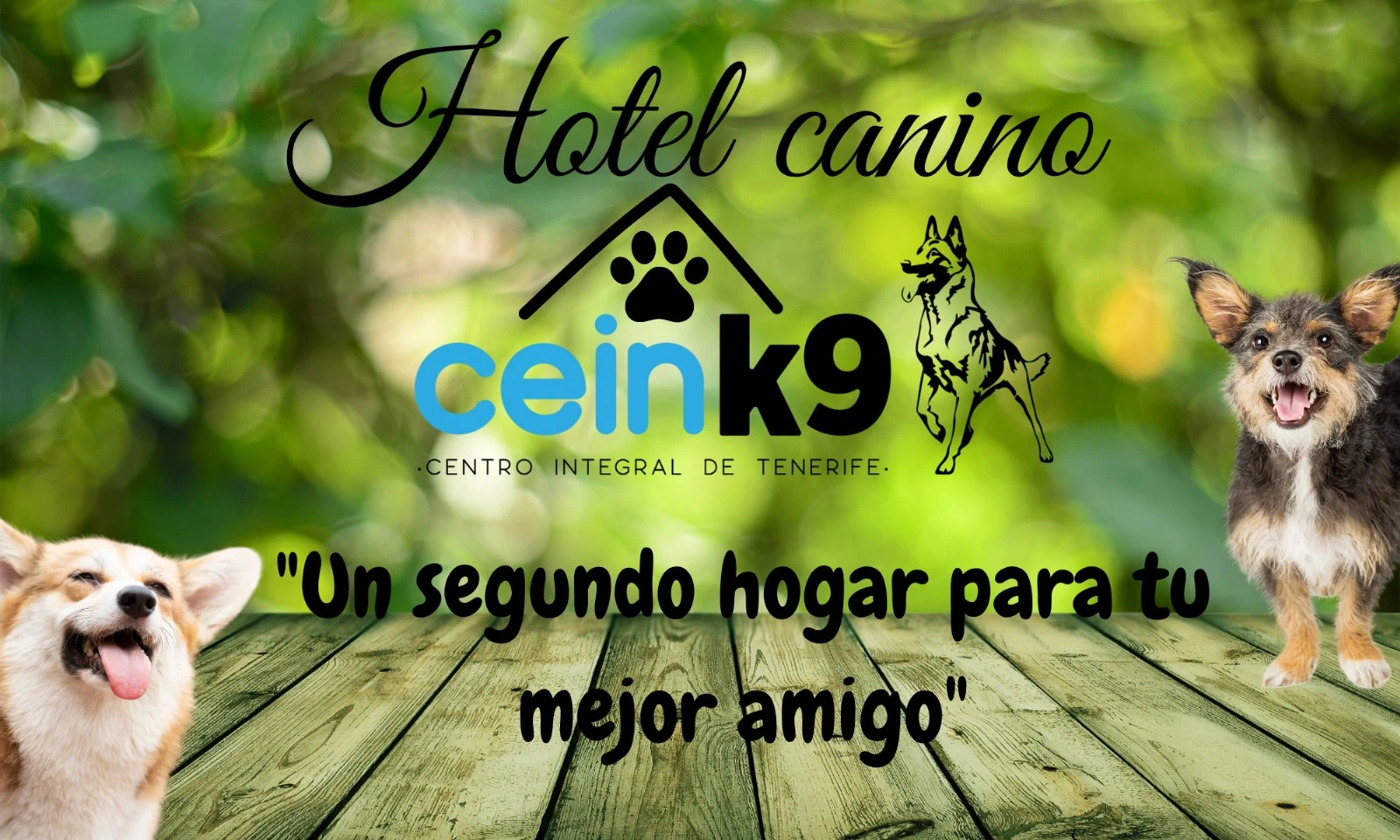 Hotel canino
