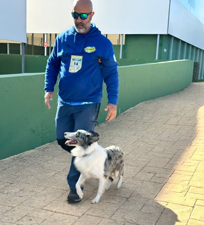 obediencia deportiva