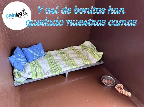hotel canino tenerife