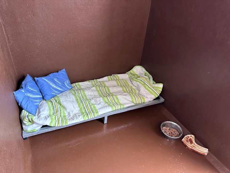 hotel canino tenerife