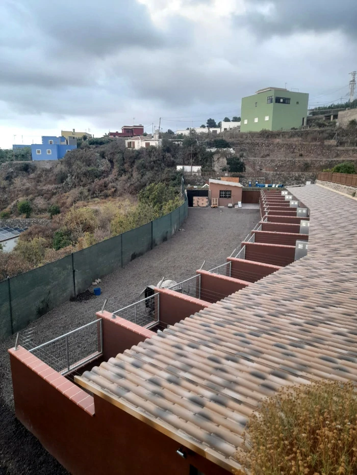 hotel de perros tenerife