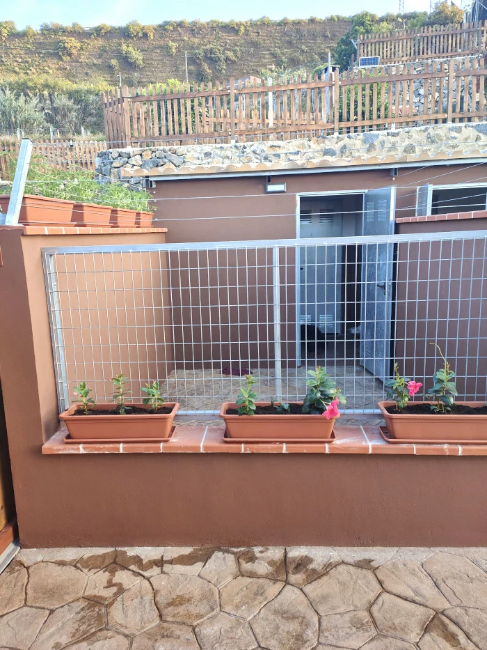 residencia canina tenerife